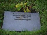 image of grave number 834267